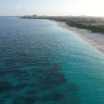 小红帽直播网页版 ydg05db