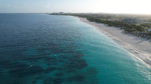 小红帽直播网页版 小红帽直播网页版